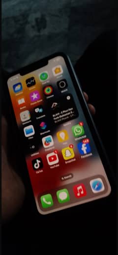 Apple iPhone XS Max