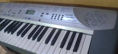 Casio ctk paino