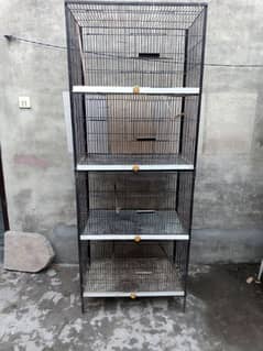 0327-0277654/Cage/parrot/love