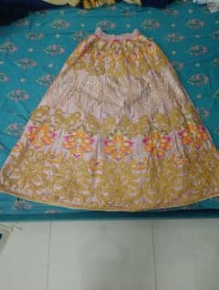 Embroidered lehenga