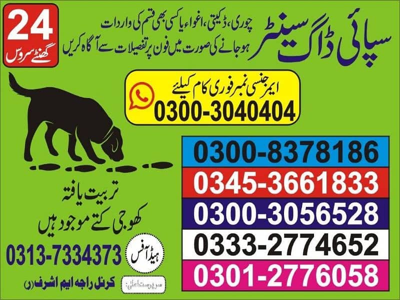 Army dog center lahore 03008378186 0