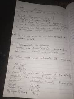 handwriting assignment work