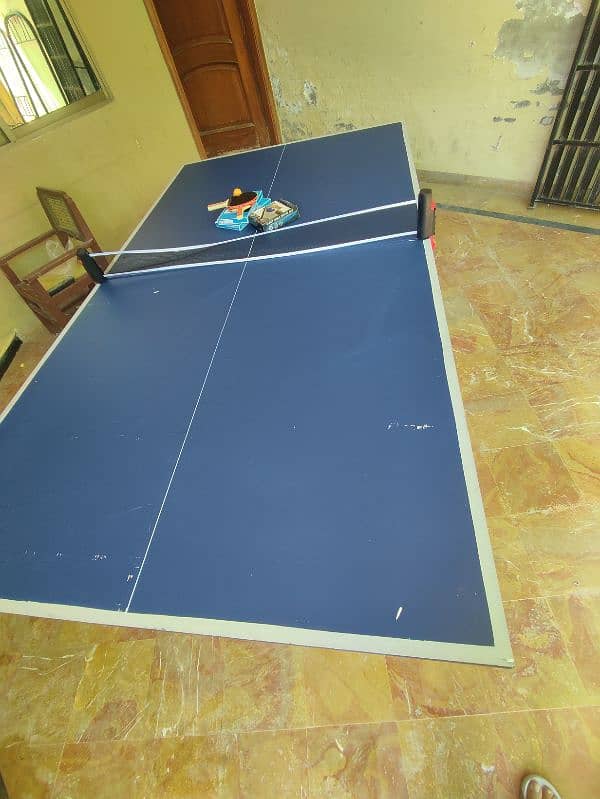 Table Tennis Full size 13