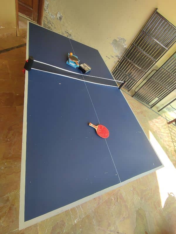 Table Tennis Full size 15