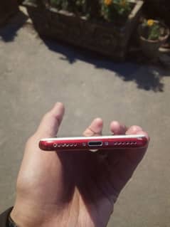 ip 7 red product special edition