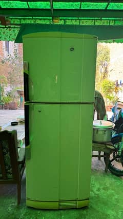 Pel Fridge Big Size Single Door