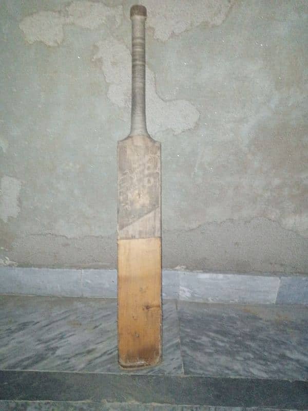 hard ball bat 1