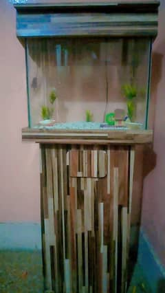 Fish Aquarium