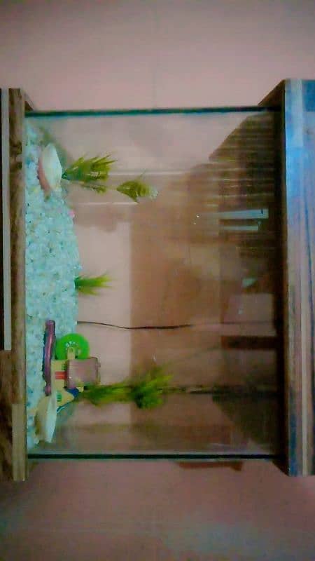 Fish Aquarium 1