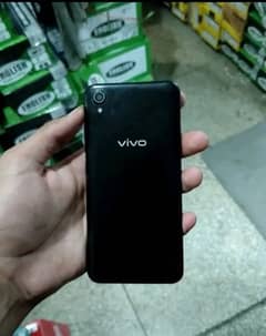 vivo