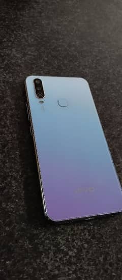 Vivo