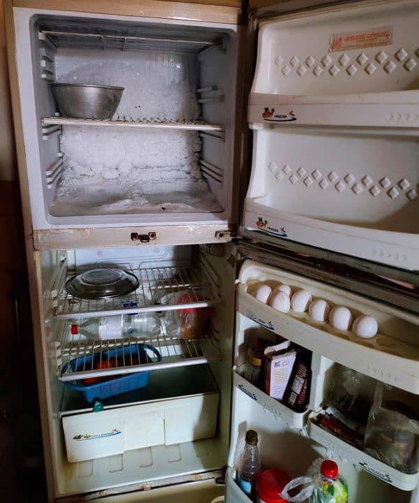 PEL refrigerator 1