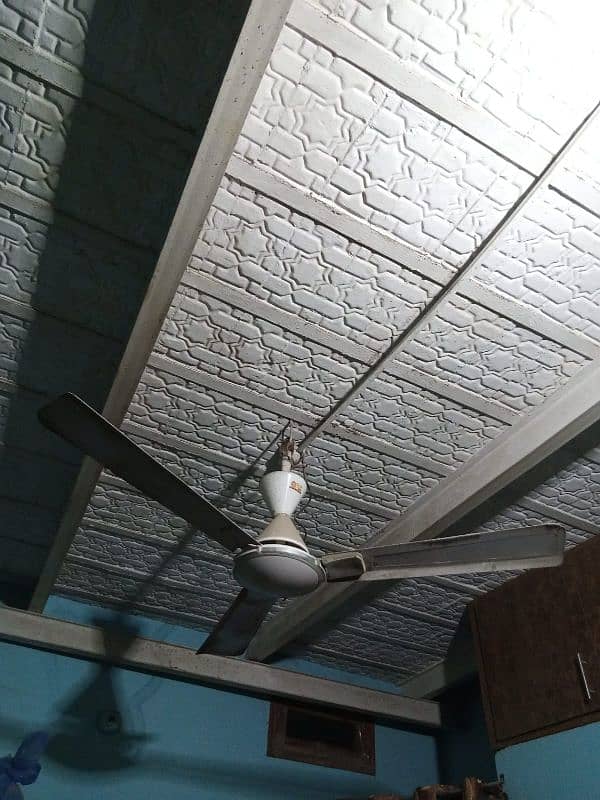 ALPLHA GFC CEILING FAN 5