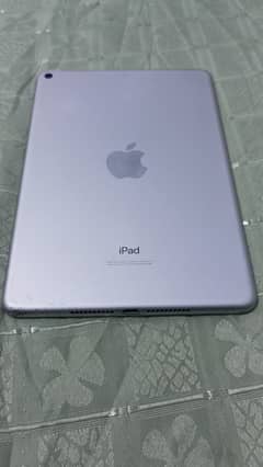 iPad Mini 5 with Box and Charger