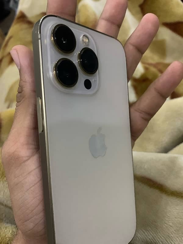 Iphone 13 Pro non pta 6