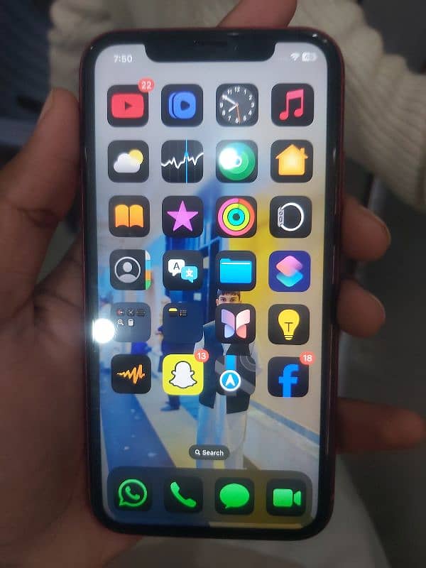 iphone 11 (waterpack) 1