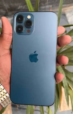 Iphone 12 Pro Max 256gb