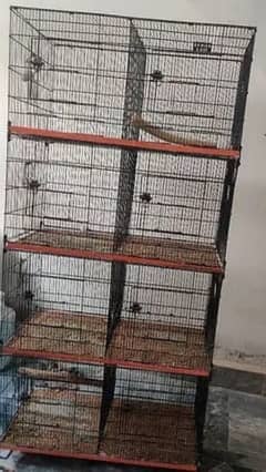 Parrots and hen cage for sell