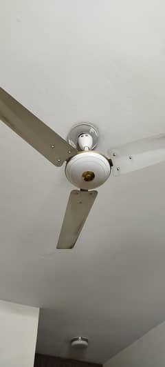 GFC celling Fans