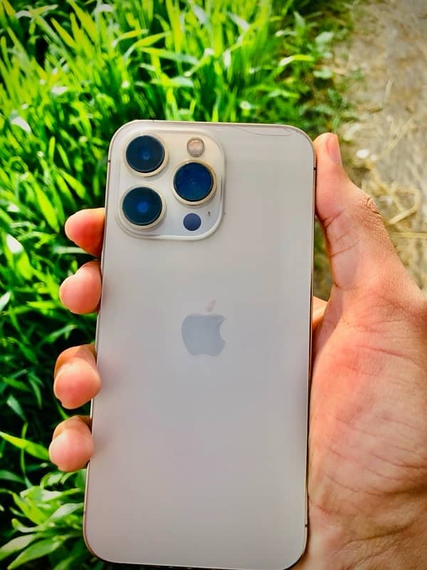 iPhone 13 Pro 0