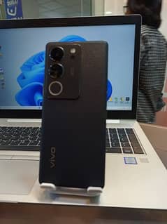 vivo