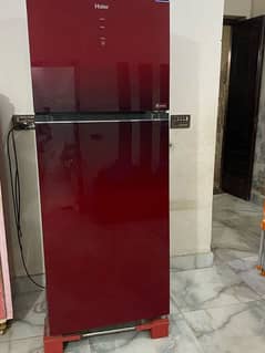 Haier DC inverter Refrigerator