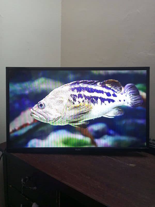 LED TV Haier 2