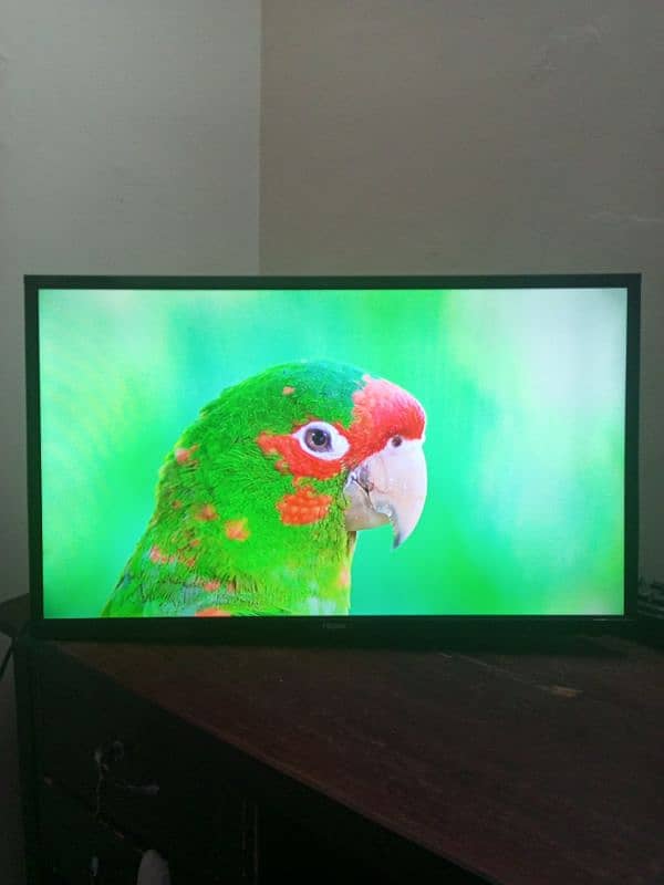 LED TV Haier 3