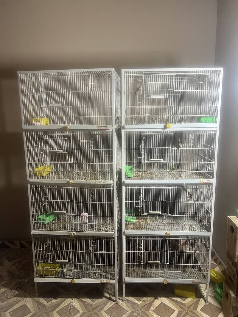 Cage for sale 0