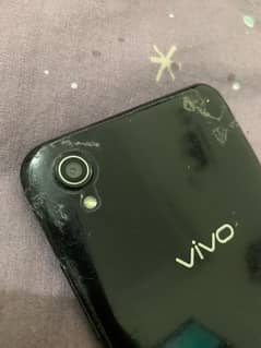 vivo