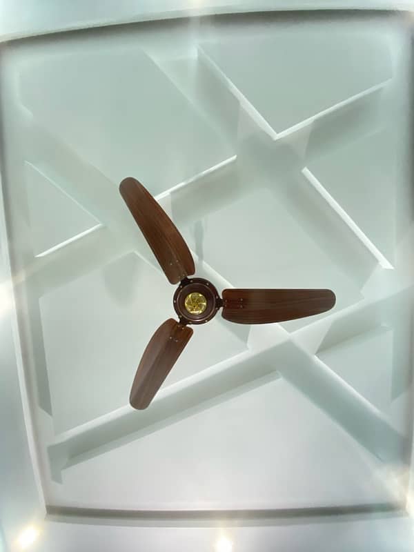 Woden design Fans 5