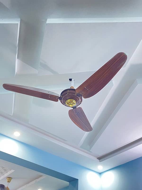 Woden design Fans 6