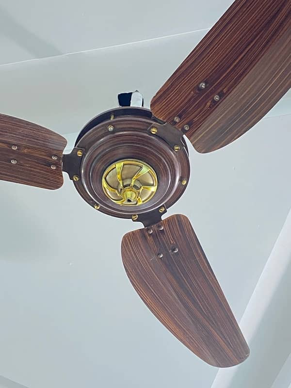 Woden design Fans 8