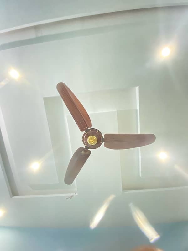 Woden design Fans 9