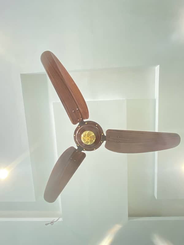 Woden design Fans 10