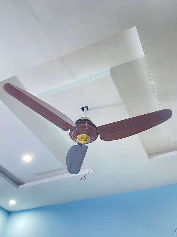 Woden design Fans 11