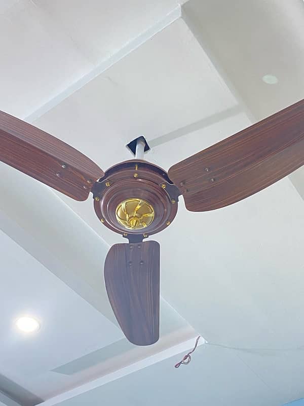 Woden design Fans 12