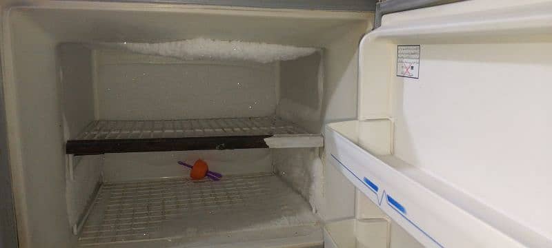 fridge 2