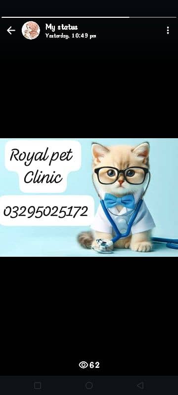 need my new clinic veterinary dr 1