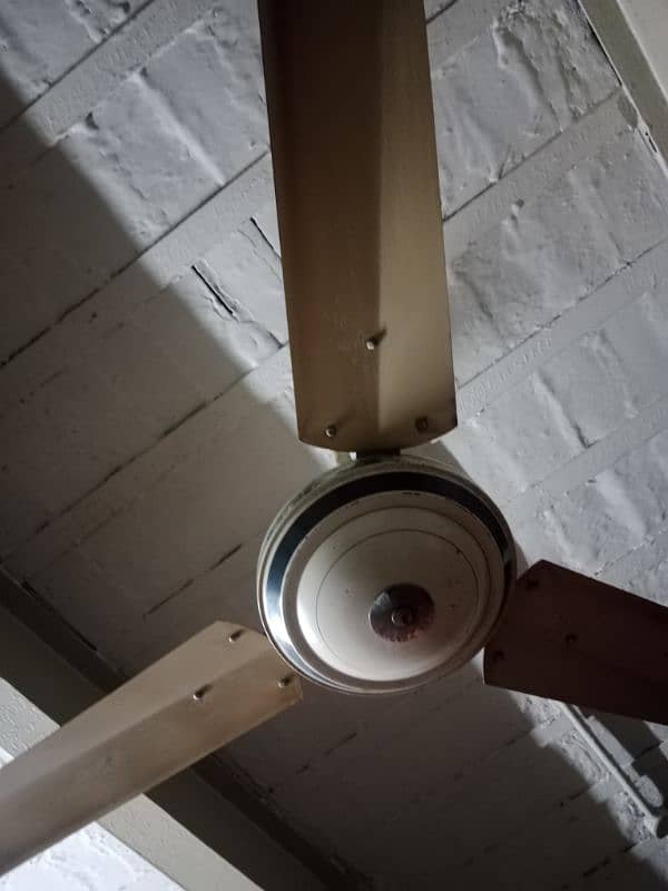 celling fans 1