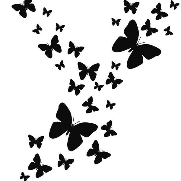 Amazing Wall decorations | Set  of 60 3D Butterflies for decoration 7