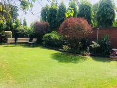 2 Kanal Fully Furnished 4 Bed Independent House 4 Bed Big Garage Lawn Near Dr Hospital Each Room 50K Available For Office & Executive Male For Rent Send Message On My WhatsApp & I Will Send Pics & Video