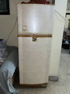 Pel fridge for sale