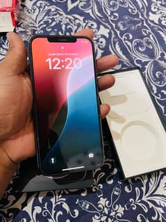 iPhone 12 Pro Max 256 GB Esim time