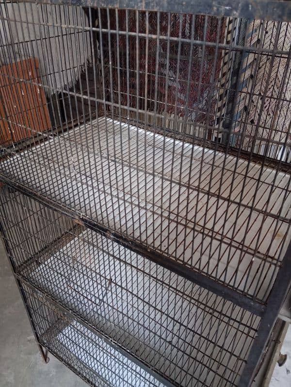 Birds cage hen cage Whatsapp number 03454436330 2