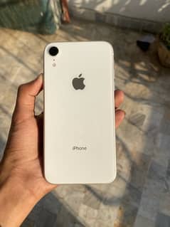 iPhone XR