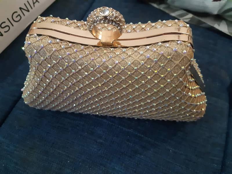 clutch_ fancy hand bag 0