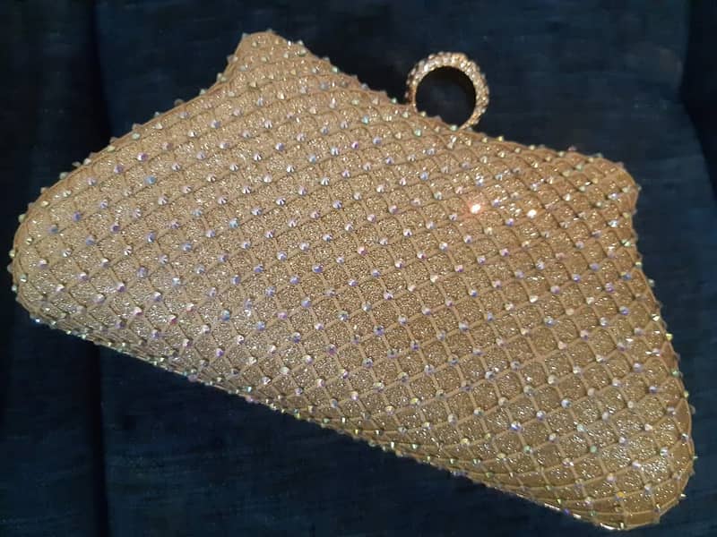 clutch_ fancy hand bag 1