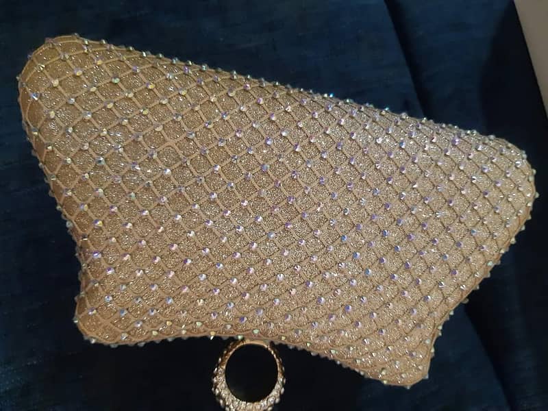 clutch_ fancy hand bag 2