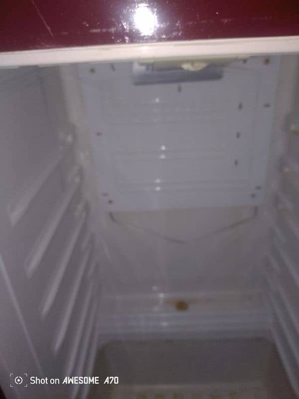 pel fridge 2